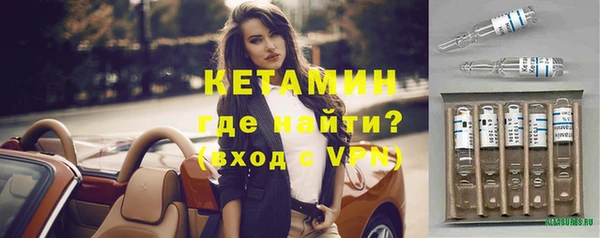 твердый Гусев