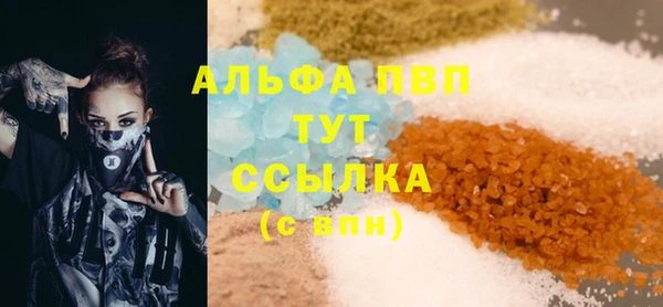 твердый Гусев