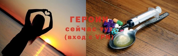 твердый Гусев