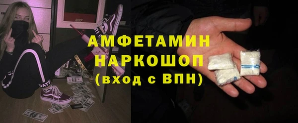 твердый Гусев