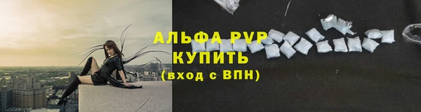 твердый Гусев