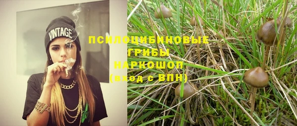 соль ск Гусь-Хрустальный
