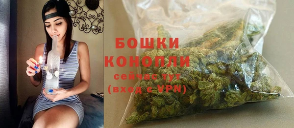 твердый Гусев