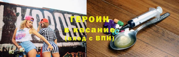 твердый Гусев